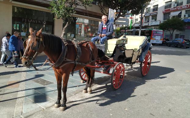 El Ayuntamiento crea un fondo para el rescate de licencias de coches de caballos en 2020