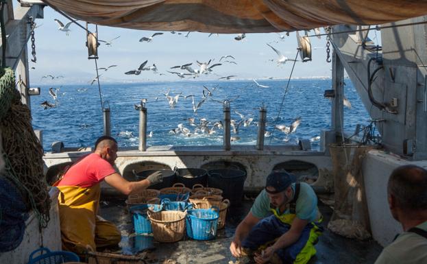 Pescadores de Caleta de Vélez retiran en un año 19 toneladas de residuos de los caladeros