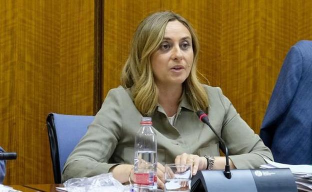 Carazo defiende sus cuentas y la oposición las ve «raquíticas»