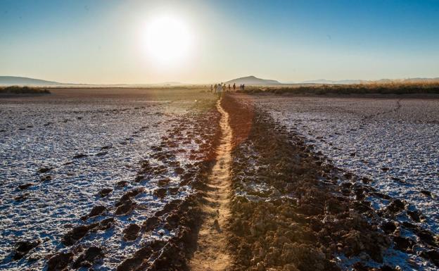 Fuente de Piedra presenta un plan para combatir la sequía con nuevos sondeos