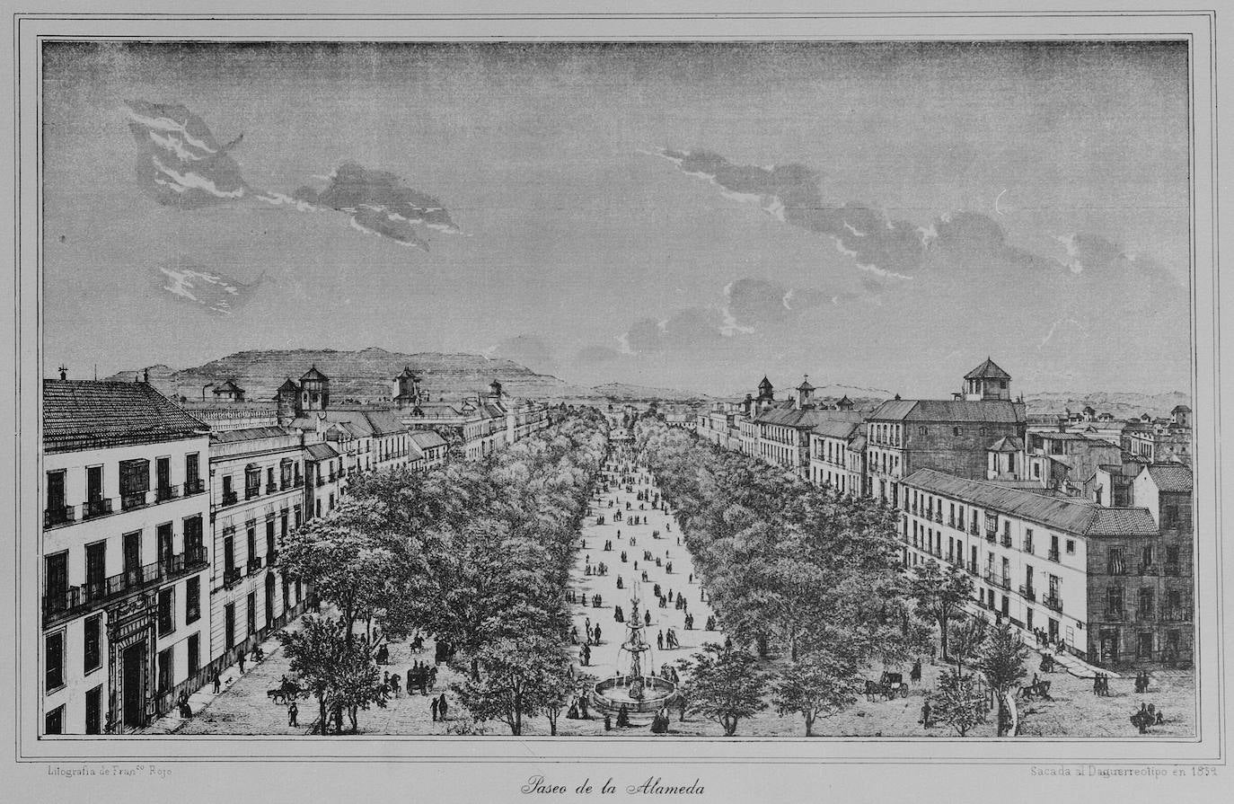 https://static.diariosur.es/www/multimedia/201912/23/media/MM-alameda/1859.jpg