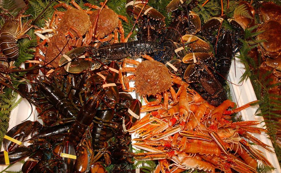 ¿Cómo se nos ocurrió empezar a comer marisco?