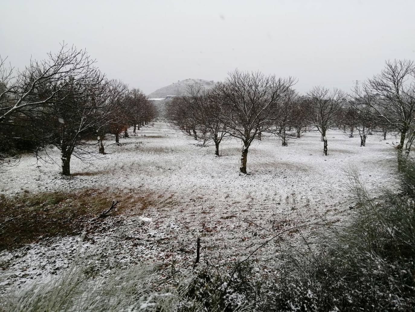 La nieve en Málaga y el interior de Andalucía