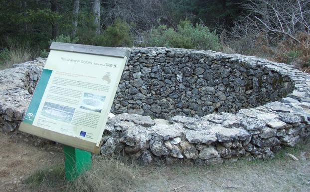 La nieve, el olvidado y próspero negocio de las sierras de Málaga