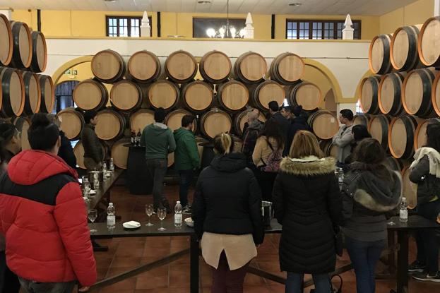 Las bodegas malagueñas brindan por el gran momento de sus vinos