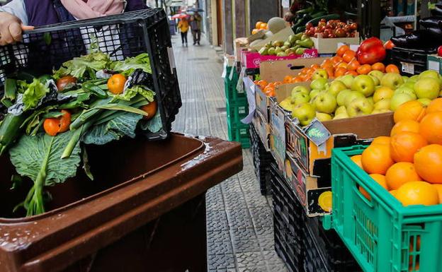 Moho en los alimentos: cuándo es posible quitarlo y comerse el resto