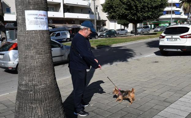 Un juzgado de Marbella investiga el envenenamiento de perros en el distrito de Nueva Andalucía