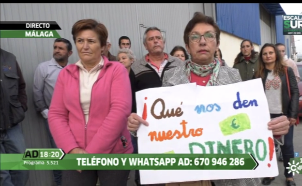 Productores de aguacates denuncian retrasos en el pago de 500.000 euros por parte de una empresa de Vélez-Málaga