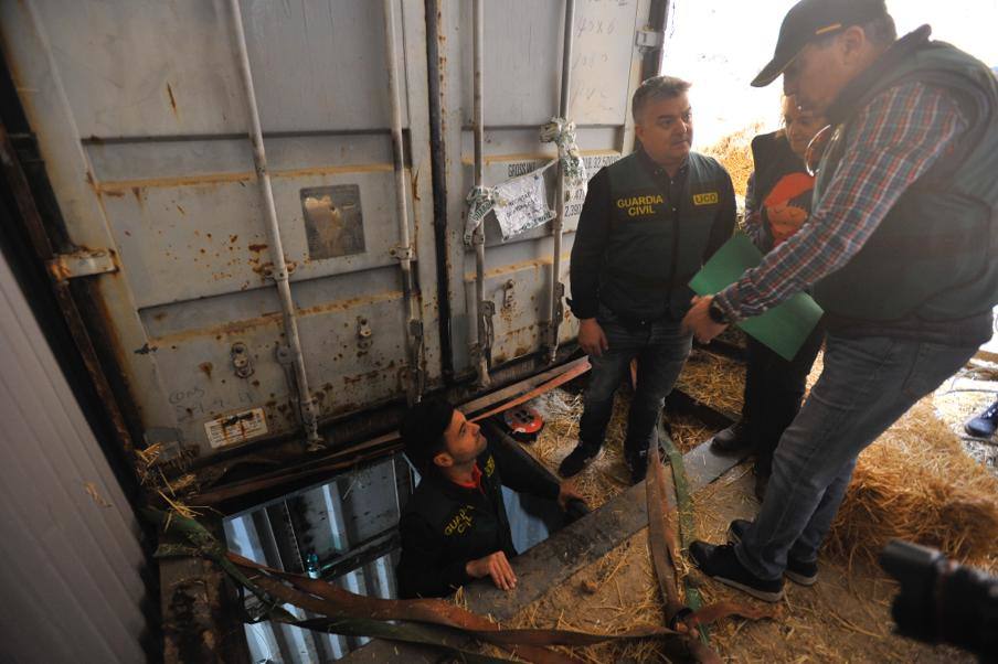 Localizan en Monda una fábrica clandestina de tabaco a cuatro metros bajo tierra