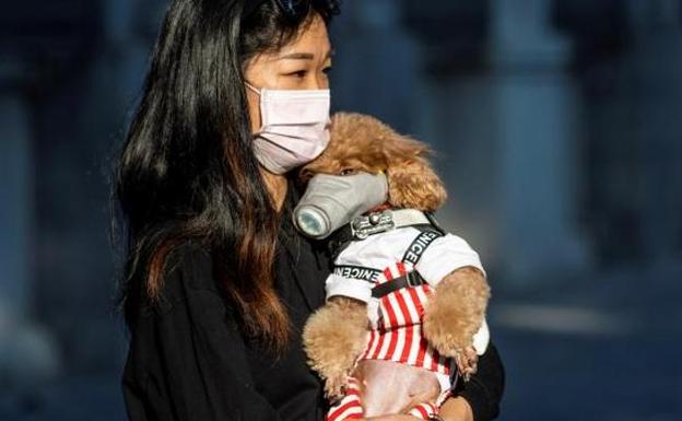 Frente al coronavirus: lavarse las manos, funciona; la mascarilla, sólo si se tienen síntomas