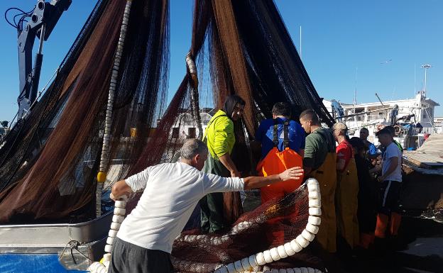 La flota de cerco malagueña no podrá pescar sardinas y boquerones en marzo