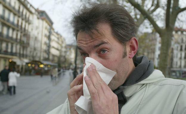 La gripe se cobró la vida de 81 personas en Andalucía en la temporada pasada