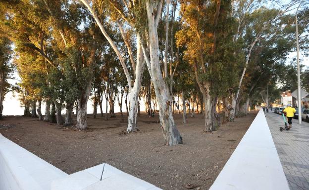 Comienza la redacción del nuevo proyecto para el parque en los Baños del Carmen