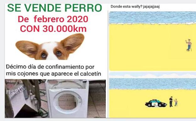 Los 'memes' del coronavirus: El humor como vía de escape ante la pandemia