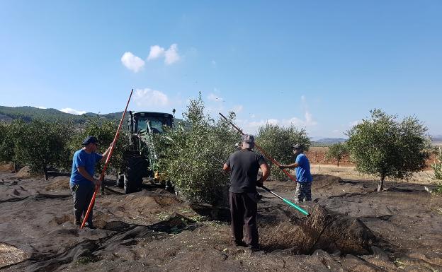 España solicita a la Comisión Europea la ampliación del periodo de solicitud de la PAC hasta el 15 de junio
