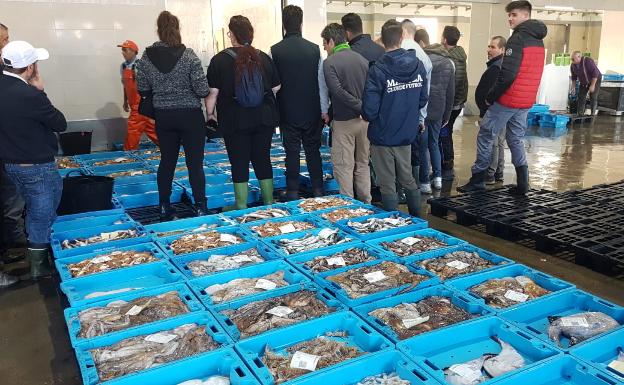 El Gobierno aclara algunas cuestiones planteadas por el sector agrario, ganadero y pesquero tras el estado de alarma