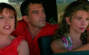 La de Antonio Banderas y otras versiones de 'Reistiré'