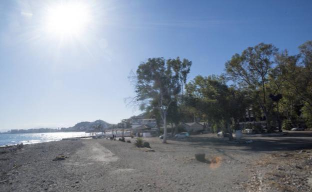 Detenida por reincidente: la pillan por segunda vez bañándose en una playa de Marbella en la cuarentena