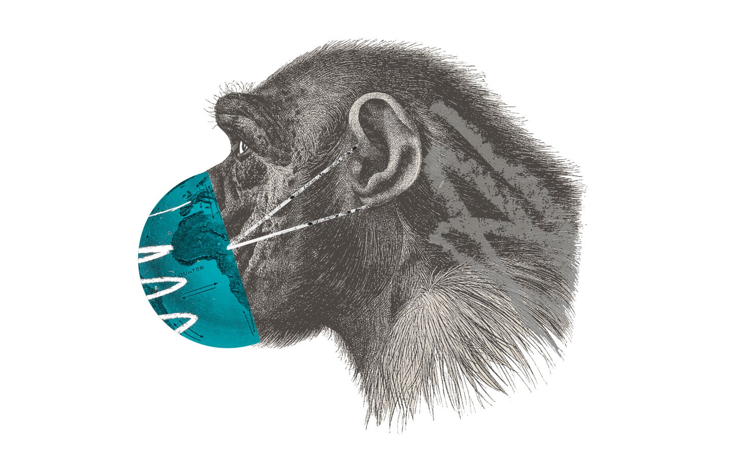 Cuidador de animales