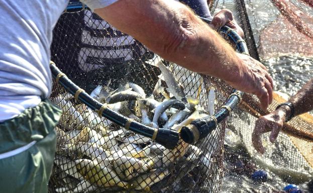 Agricultura ofrece el primer curso online para obtener el título de marinero pescador