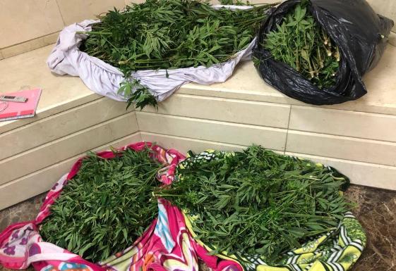 Detenidos cuando circulaban con el coche abarrotado de marihuana en Málaga