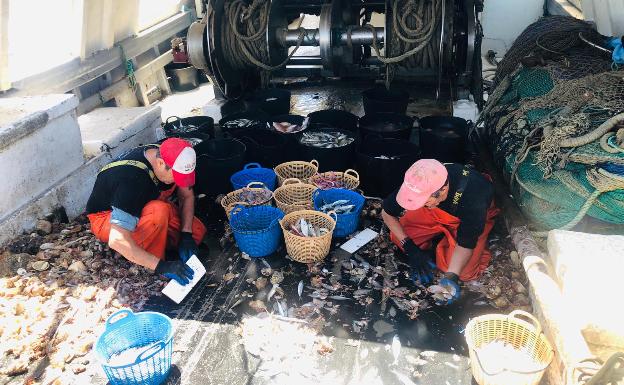 Malestar en el sector pesquero por el anuncio del Gobierno activar el plan de gestión de pesca del Mediterráneo