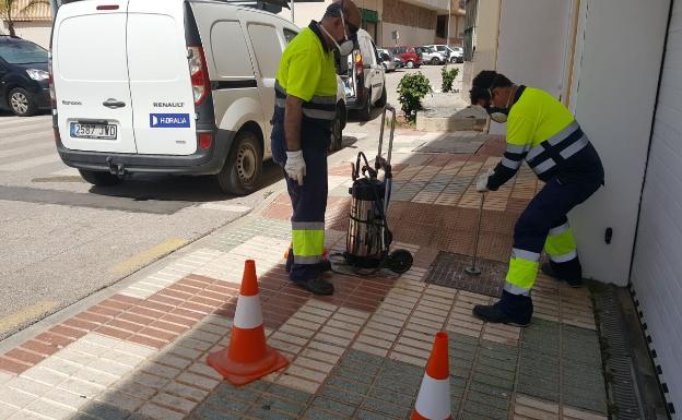 Realizan trabajos de desinsectación y desratización de la red de saneamiento