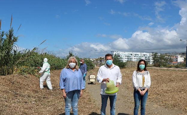 Torrox instala veinte comederos para las aves autóctonas ante la escasez de alimento por el cierre de las terrazas