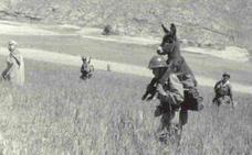 La realidad tras la foto del soldado cargando con un burro que se ha hecho viral
