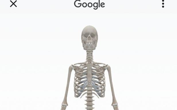 La realidad aumentada de Google ahora te permite ver el cuerpo humano y las células