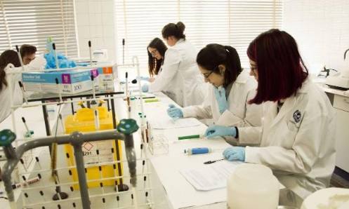 La asignación de las plazas MIR por vía telemática indigna a los aspirantes