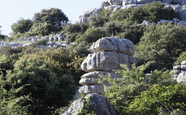 La fauna y la flora recuperan su hegemonía en estos dos meses sin visitas al Torcal de Antequera