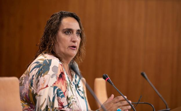 Adelante Andalucía pide en el Parlamento que se garantice el 7% del PIB anual para la sanidad