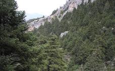 La Junta presenta aportaciones al anteproyecto de Ley del Parque Nacional Sierra de las Nieves