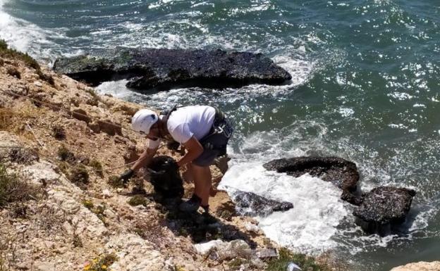 Retiran 250 kilos de basura de los acantilados del Cantal