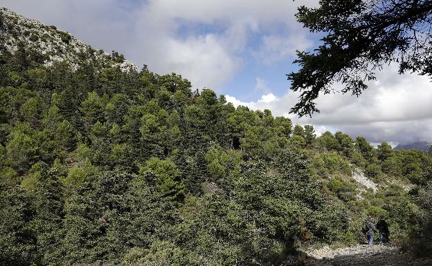 La Sierra de las Nieves, un proyecto de unión