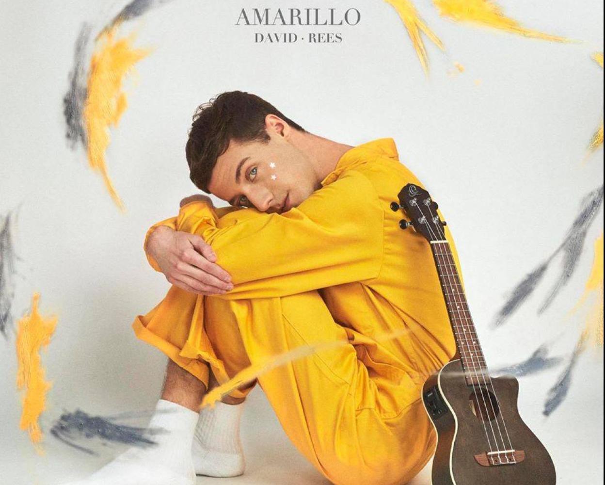 El malagueño David Rees de a lanzar su primer disco, 'Amarillo' | Diario Sur