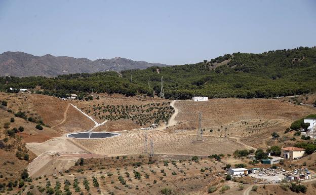 Urbanismo lleva a la Fiscalía una plantación de mangos en un suelo forestal protegido de Los Montes de Málaga