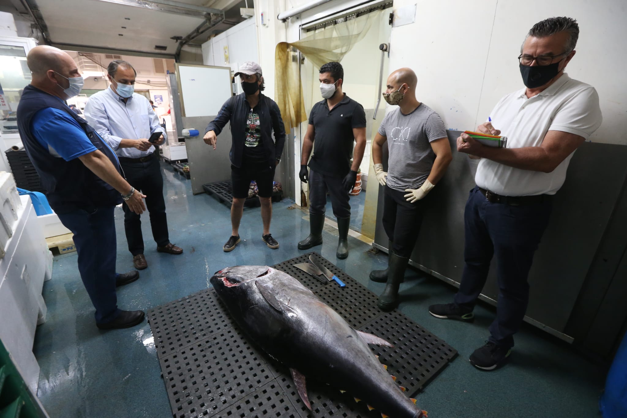 Así es el ronqueo del atún rojo en Málaga