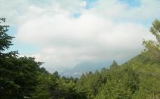 El Gobierno abre la consulta pública sobre el anteproyecto de Ley para la declaración del Parque Nacional de la Sierra de las Nieves