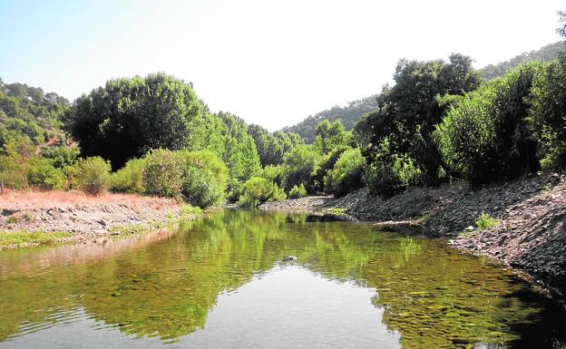 Bajo Genal. El verano alternativo en la Serranía de Ronda