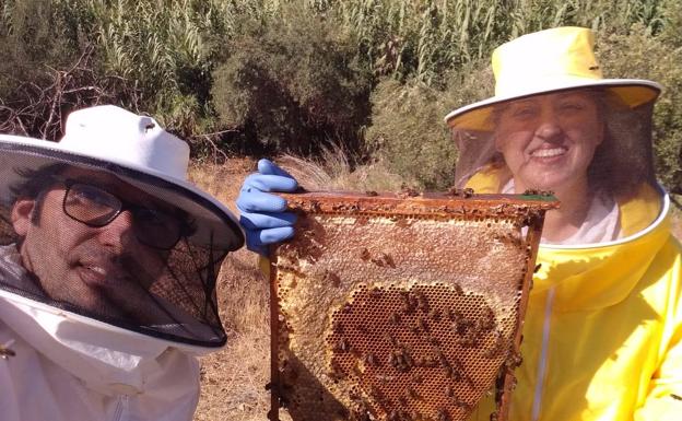 José Gil y Eva Gómez trabajan con sus propias colmenas y tienen un aula de formación ambiental. /SUR