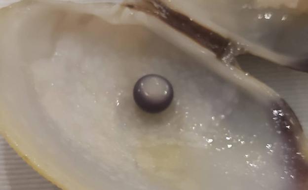 Hallan una perla negra en una almeja en un restaurante
