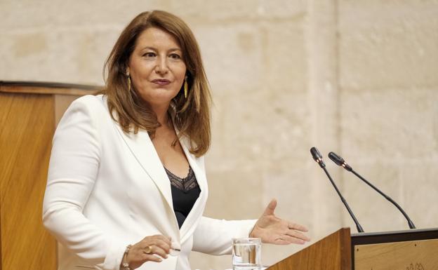 El Parlamento andaluz da luz verde a 38 millones en ayudas urgentes al sector agroganadero por la crisis de la Covid-19