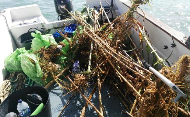 Los barcos limpia playas de la Axarquía retiran más basura que natas