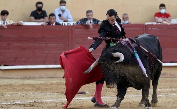 Podemos e IU votan a favor de los toros de lidia en Sevilla