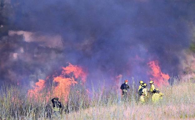 Estabilizado el incendio forestal declarado en Olvera que afectó a Cañete la Real