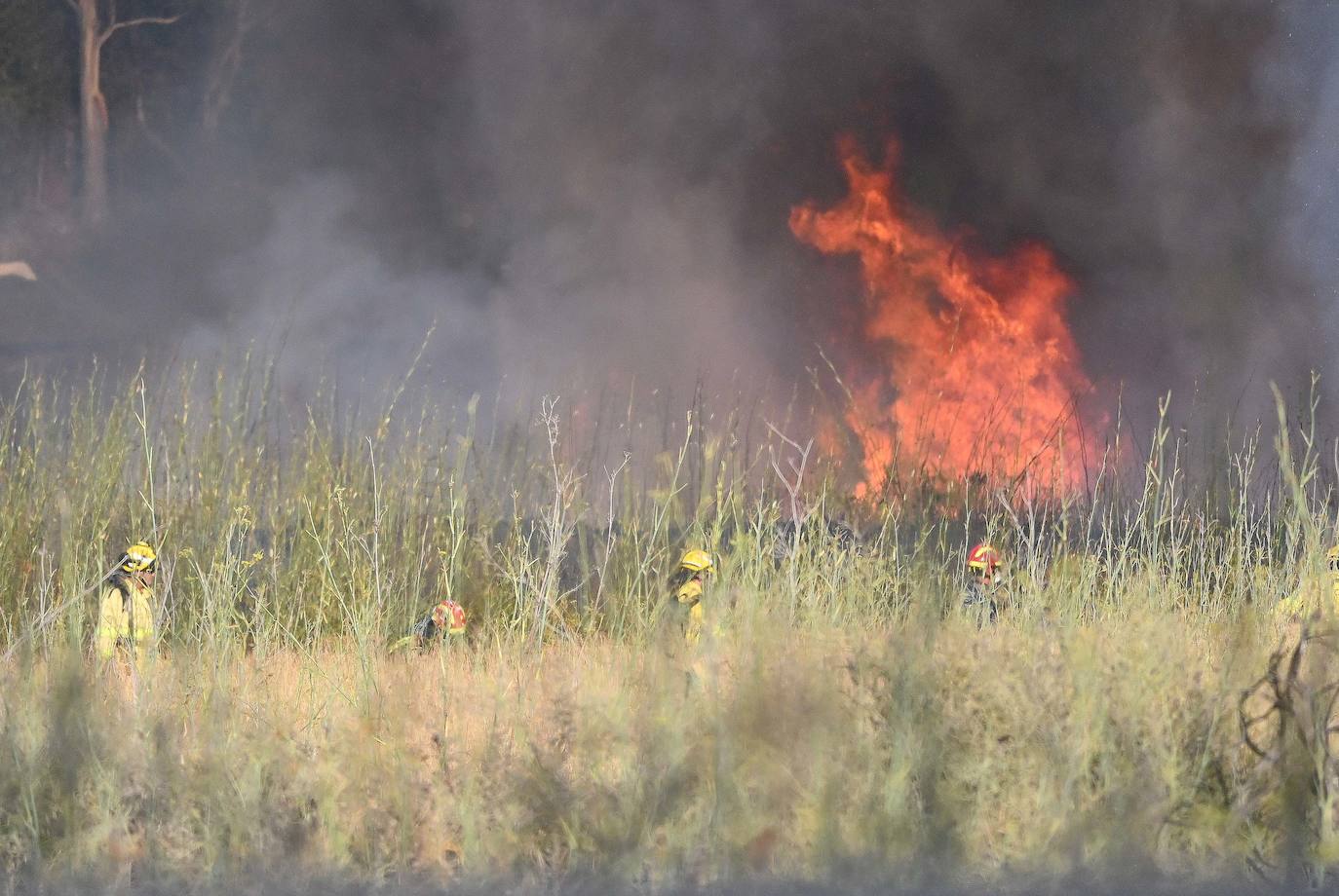 Incendio forestal en Benahavís