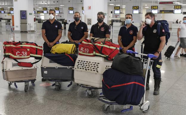Bomberos malagueños llevan la esperanza a los escombros de Beirut