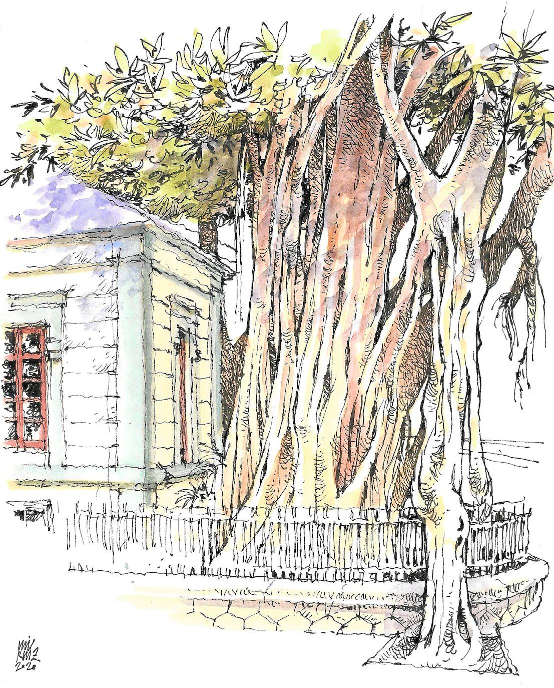 Confinamiento vulnerado